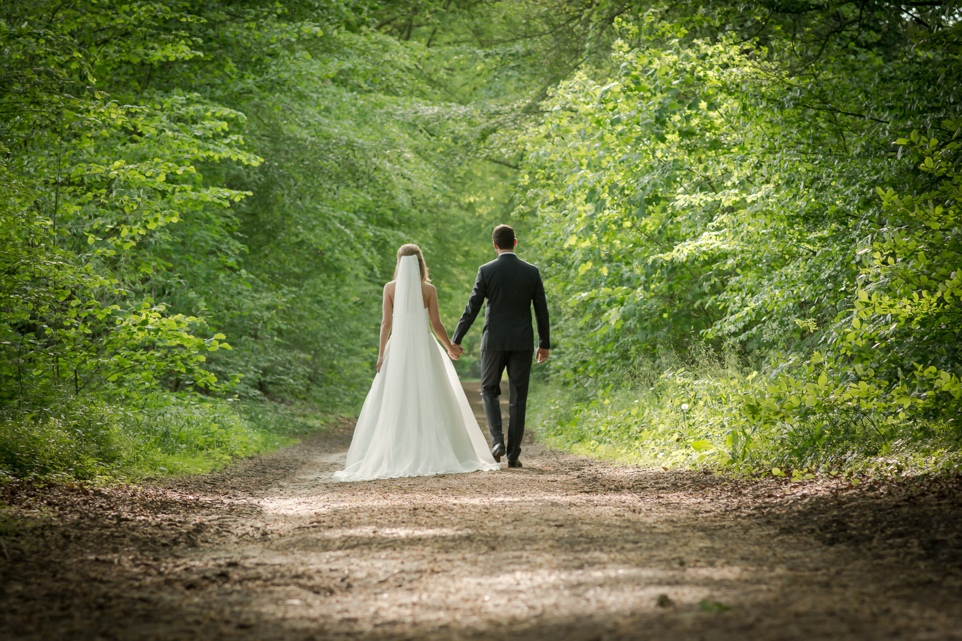 Brautpaar spaziert Hand in Hand durch einen Waldweg